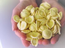 orecchiette pugliesi