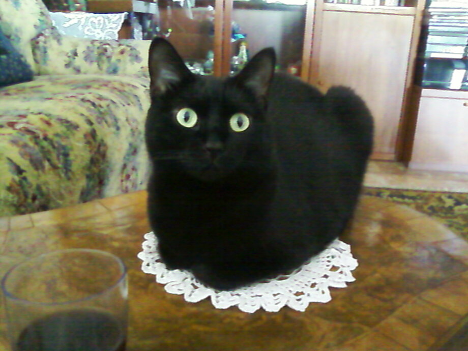 Descrizione immagine