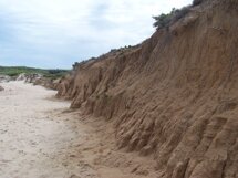 Descrizione immagine