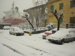 Descrizione immagine