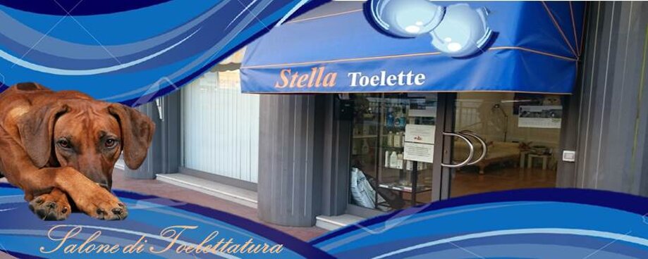 Descrizione immagine