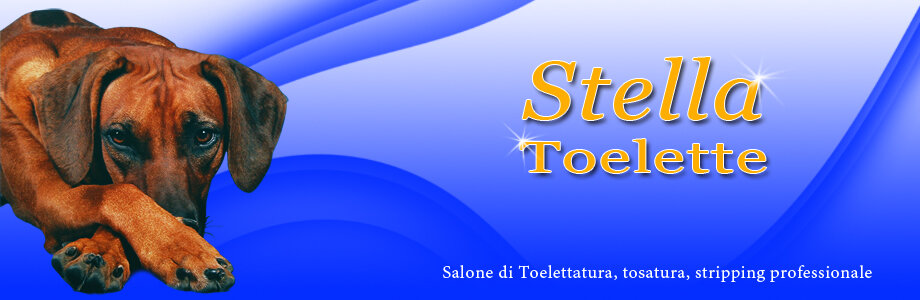 Descrizione immagine