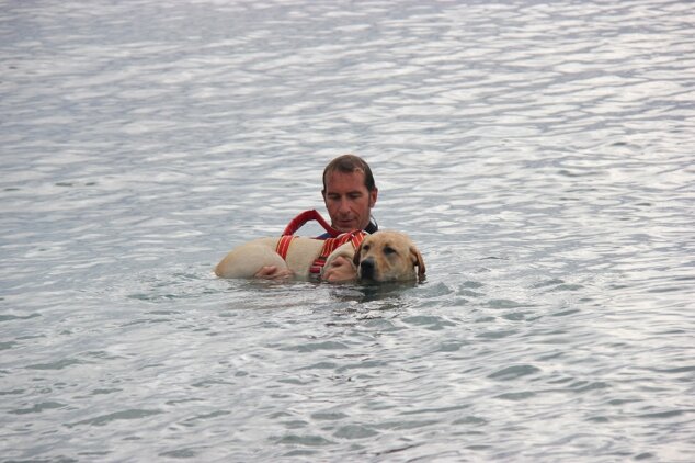 Descrizione immagine