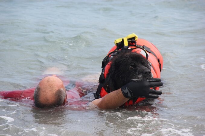 Descrizione immagine