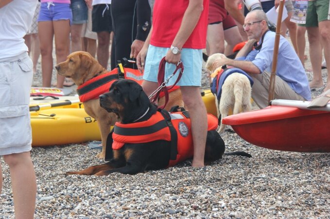 Descrizione immagine