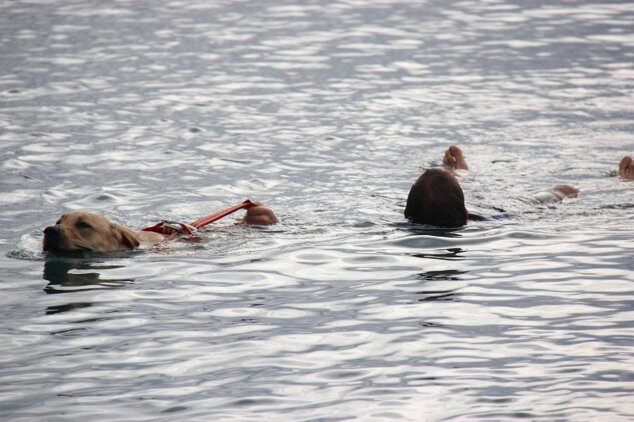 Descrizione immagine