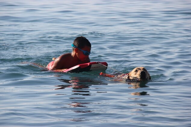 Descrizione immagine