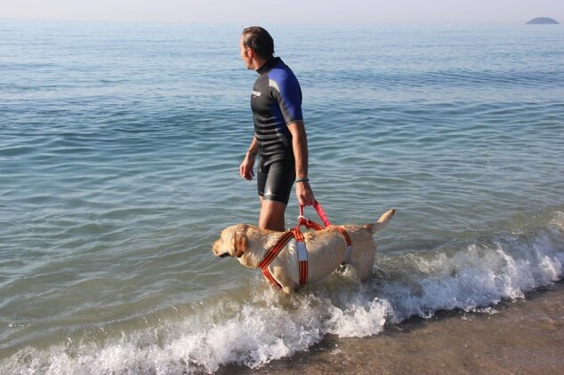 Descrizione immagine