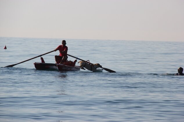 Descrizione immagine