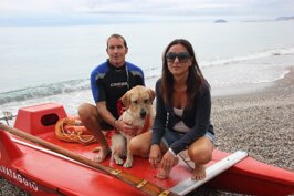 Descrizione immagine