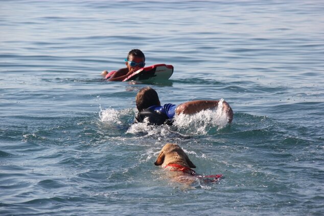 Descrizione immagine