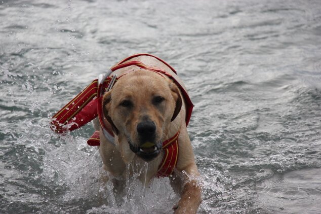 Descrizione immagine