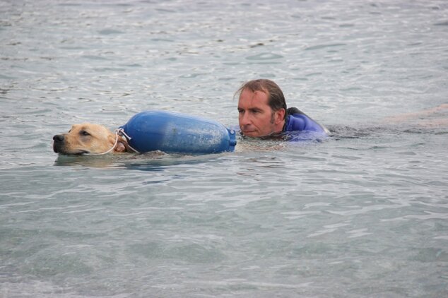 Descrizione immagine