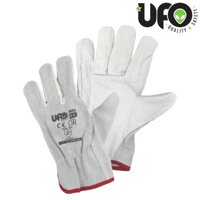 Descrizione immagine