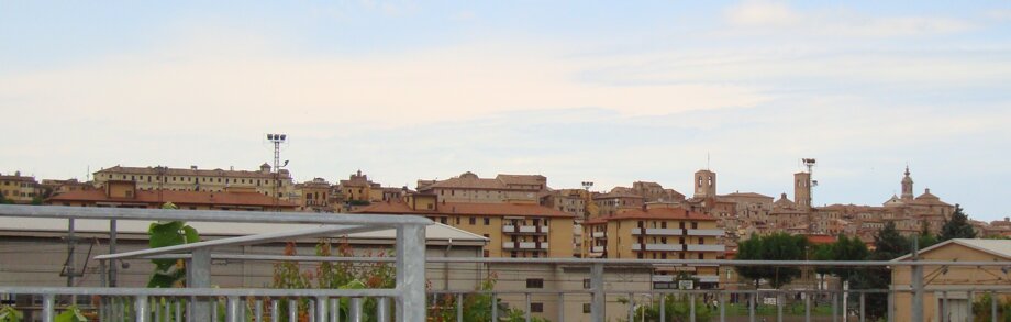 Descrizione immagine