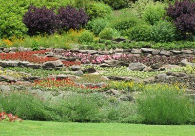 Descrizione immagine