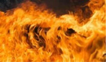 Descrizione immagine