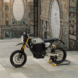 egera griga tre quarti.jpeg