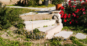 riccardodeconti-ilgiardinodisonia-20241112-79.jpeg
