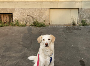 d2cb86de7ddb767464c717cbe47b1094