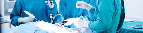 aa2b08e6-9b4d-4ad2-8d13-d5858e08fba2.jpeg aa2b08e6-9b4d-4ad2-8d13-d5858e08fba2.jpeg