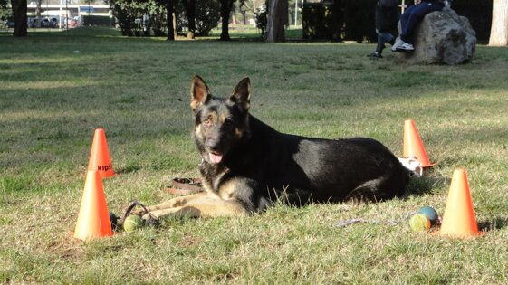 84f486b8-85d9-45df-94db-6ec5c1afb905