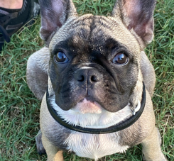 887da042-02bc-4199-afb0-87ea9c85af56 887da042-02bc-4199-afb0-87ea9c85af56