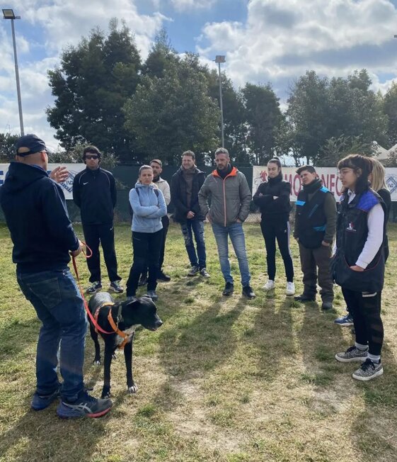 7909ed10-541e-46fc-9d19-d339c7e538cc