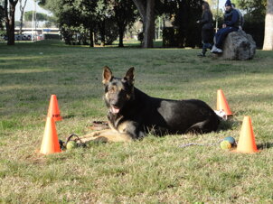 44614762-04a4-43eb-b98f-a77e3dfdc452