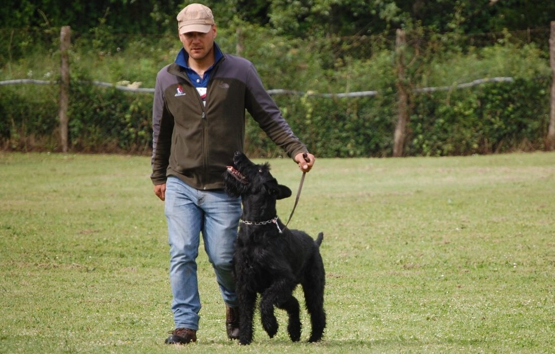 10a52a96-2c49-4584-ae00-24378a6a5564