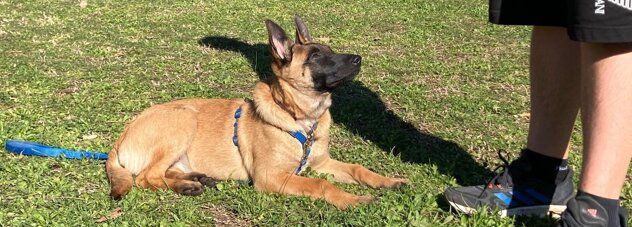 e520c2e6-0cd8-440c-a1f5-712ce4ac32e6