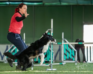 6ad264da-09b7-46df-a31c-36e4a2c73435