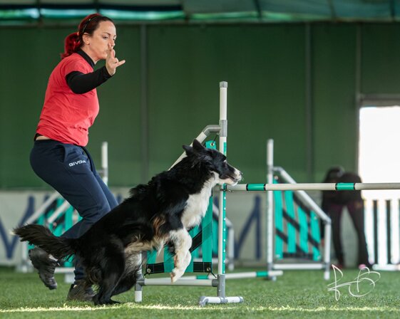 4681e289-aa9c-4413-a7ae-8e5afdd6615c