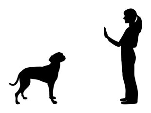 8fba6f99-b64b-4f7d-9d66-4643a7c8a757