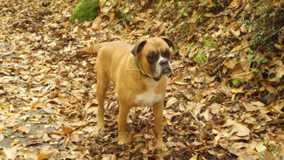 52a5a1b8-4b4d-4f7f-acf7-56b5856dfb34