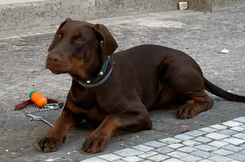 b8850cfd-38ca-44f1-a057-c334e7d4f595