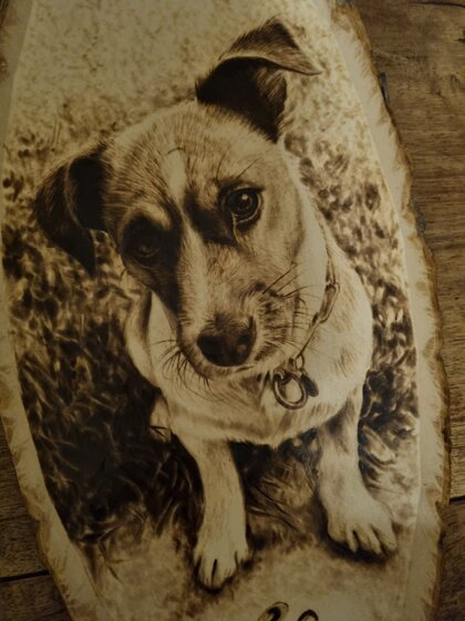 212df919-1de8-4fbe-801d-a8cb1e50f733