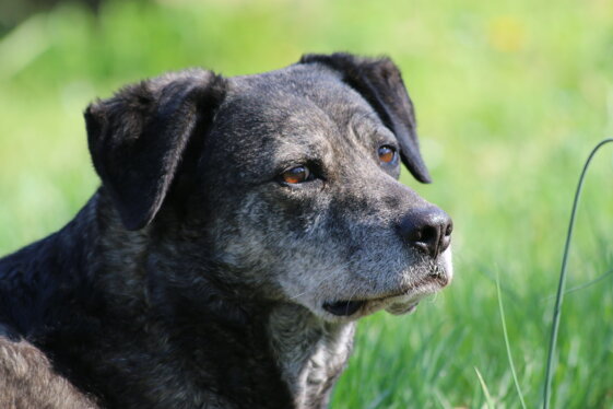 1fe96aad-1c36-499f-8329-8b38eb1210ba