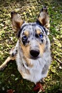 118b14a4-a405-42f5-a0c4-c66e59a7e94b