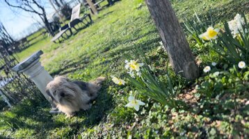 2e2fb83f-6375-4012-b51a-4029fcf65434