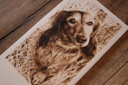 44e22ce3-3ee5-42fd-919f-e25fd321e3d4