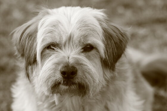 700dd2f3-59e9-49a1-92af-b4851a033f0b