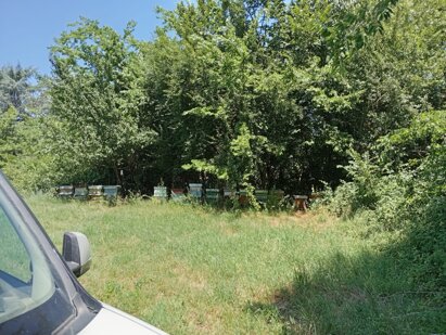 immagine whatsapp 2025-10-21 ore 11.23.12_9de4f2bf.jpeg