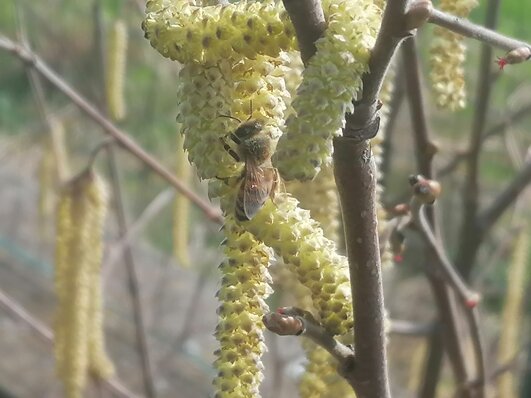 img_20240221_124650.jpeg img_20240221_124650.jpeg