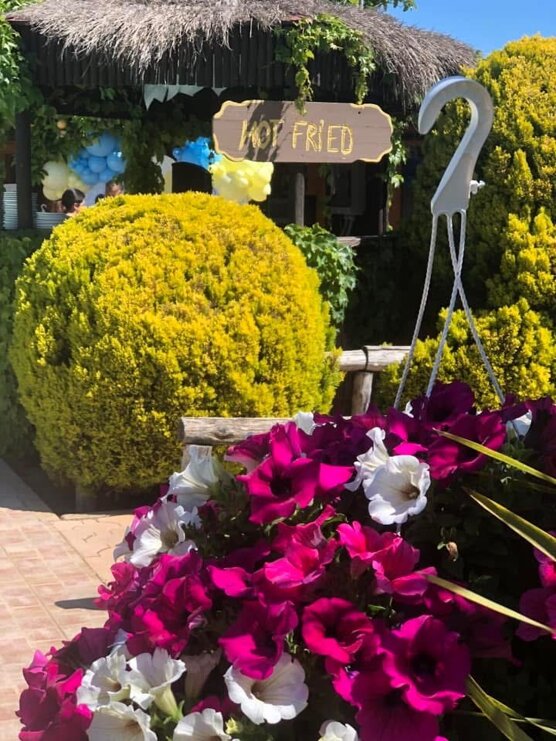 foto6.jpeg foto6.jpeg