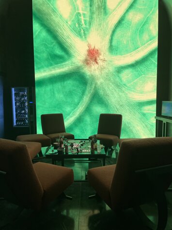 img_3548.jpeg img_3548.jpeg