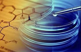 8bdfd7f8-f323-488a-b168-c98e2e08f23d