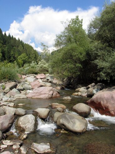 88808250-5aae-447f-80be-e6e99a22cddc 88808250-5aae-447f-80be-e6e99a22cddc