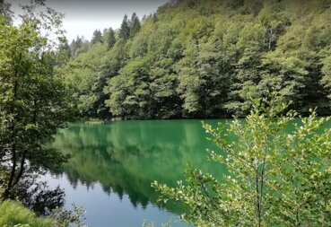 1cbe1a32-d154-4225-b25a-a79c176aad3c 1cbe1a32-d154-4225-b25a-a79c176aad3c