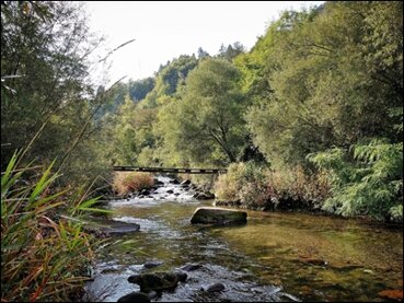 c5be989f-b5b3-4269-8b18-6abbadaac63c c5be989f-b5b3-4269-8b18-6abbadaac63c